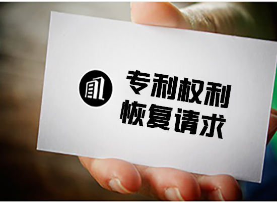 专利权利恢复请求